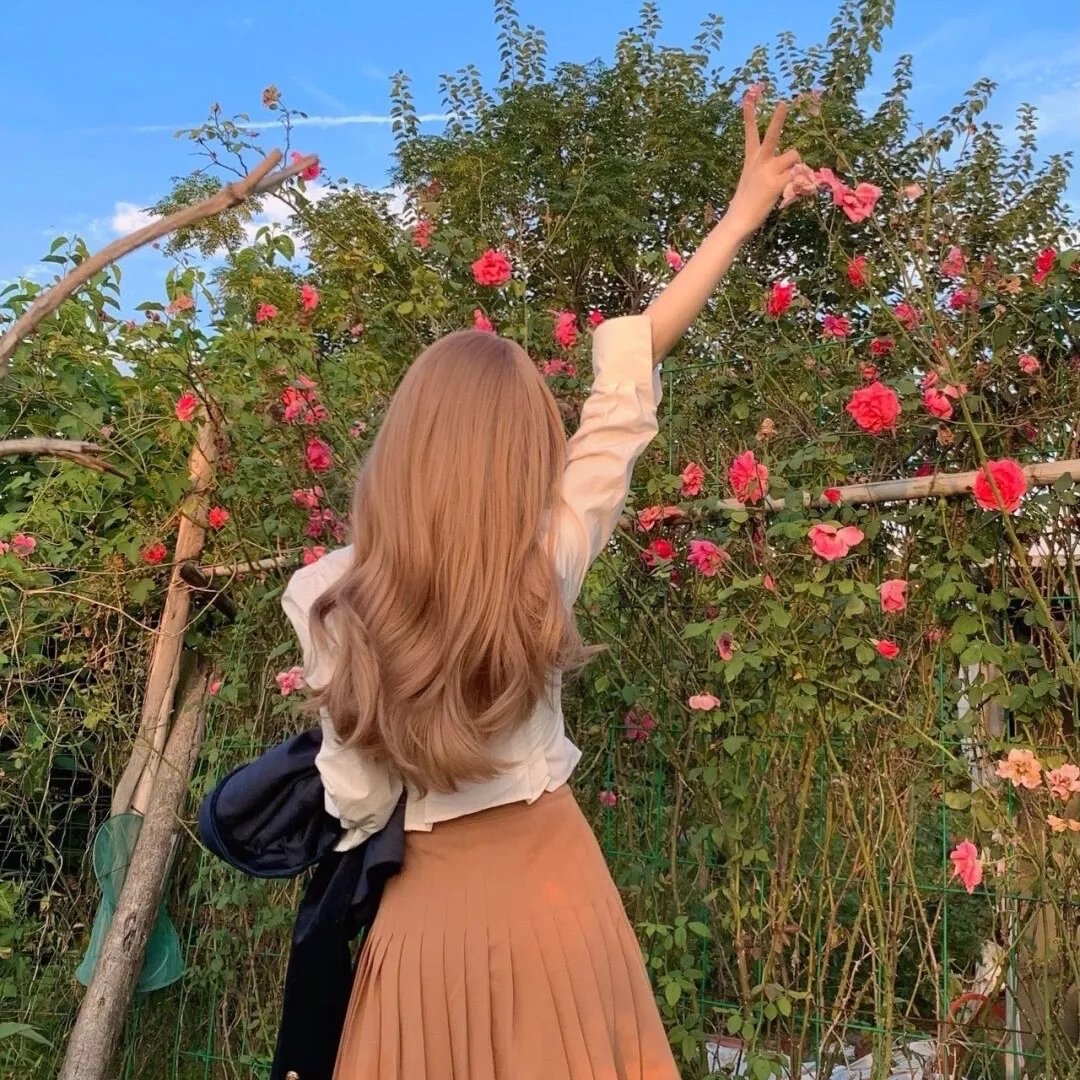 夏日的时光机器